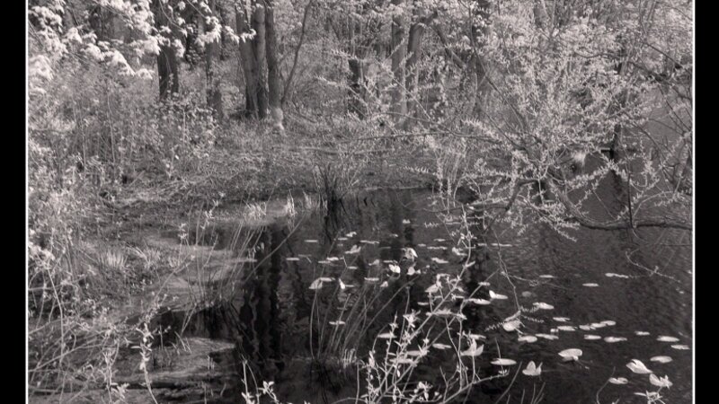 The creek on Paulsboro-Swedesboro Road 2