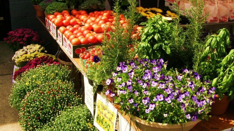 " Sweet Fall Harvest "