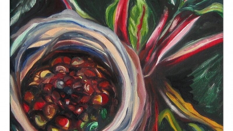 Swiss Chard and Birds Nest