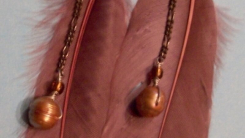 Brown Feather earrings