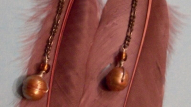 Brown Feather earrings