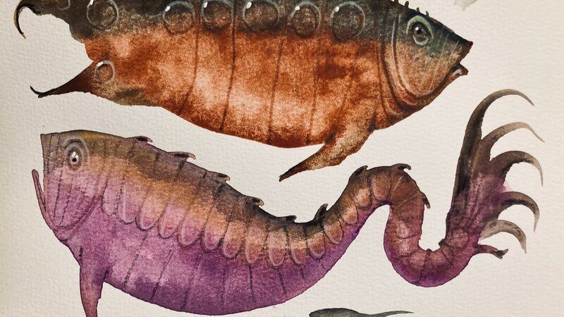 Gouache washes and colored pencils, July, 2024