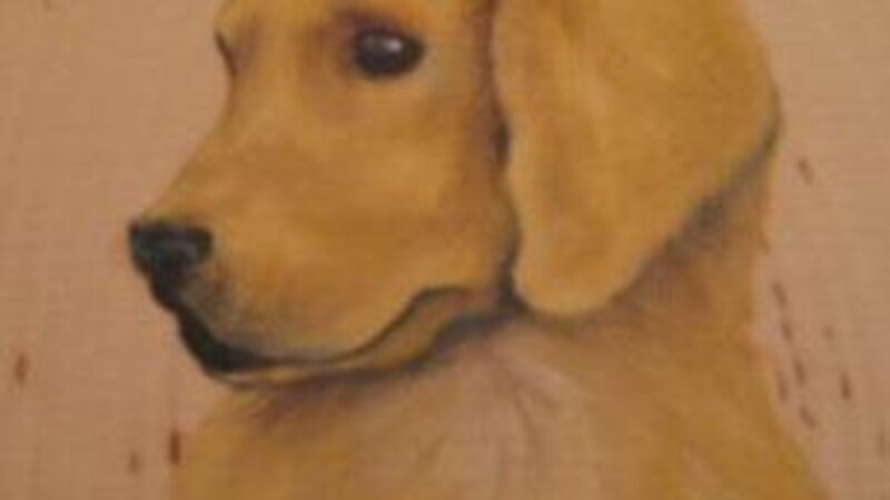 "Yellow Dog"
