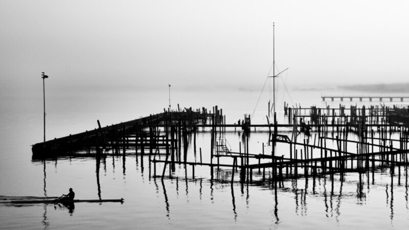 the Docks