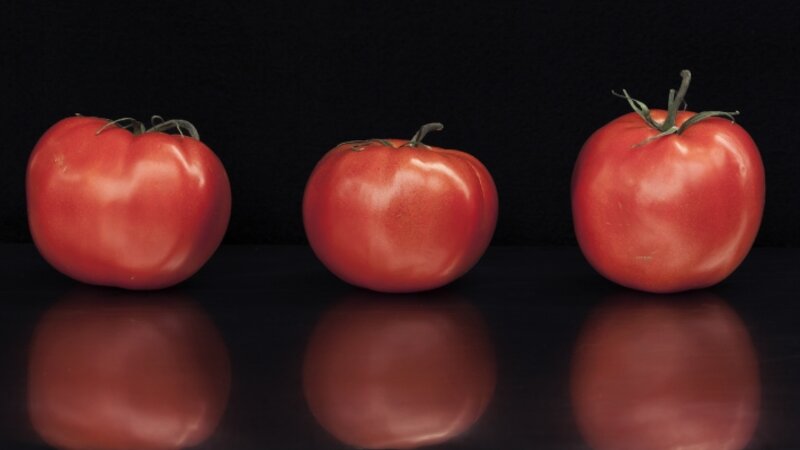 gallery-wrapped, archival, giclee photographs printed on canvas