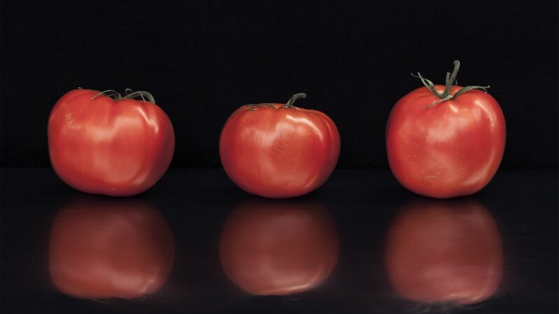 gallery-wrapped, archival, giclee photographs printed on canvas