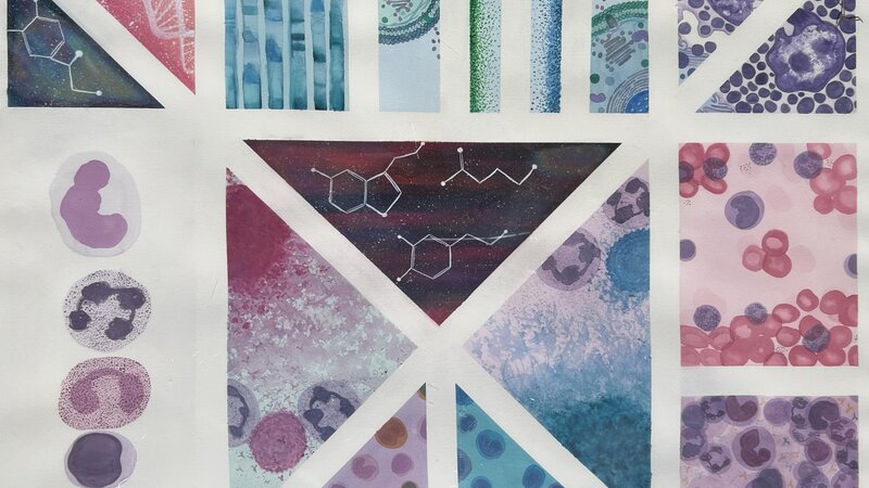 A study of cells and other structures in the human body.