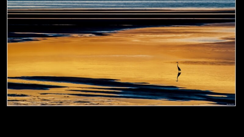 Tidal flats at Orleans, Cape Cod