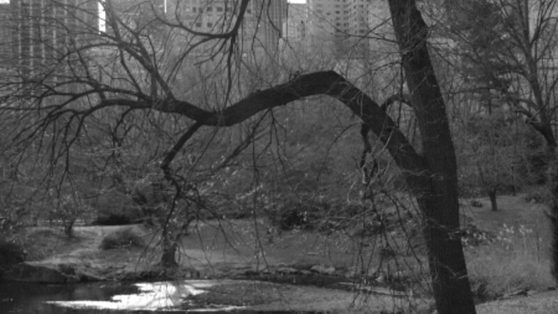 Central Park