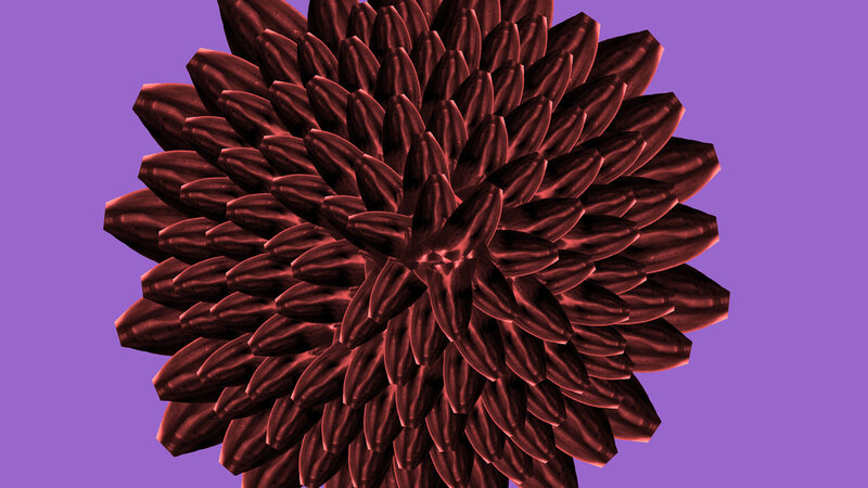 Red Dahlia analog and digital photograph