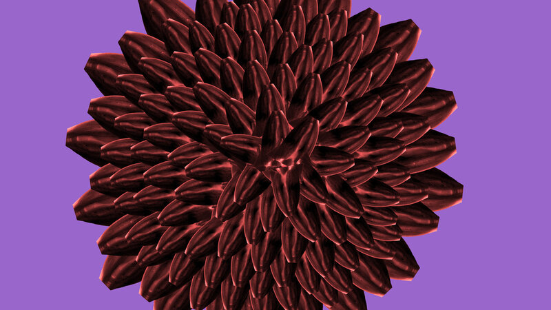 Red Dahlia analog and digital photograph