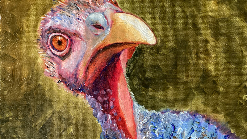 Turkey