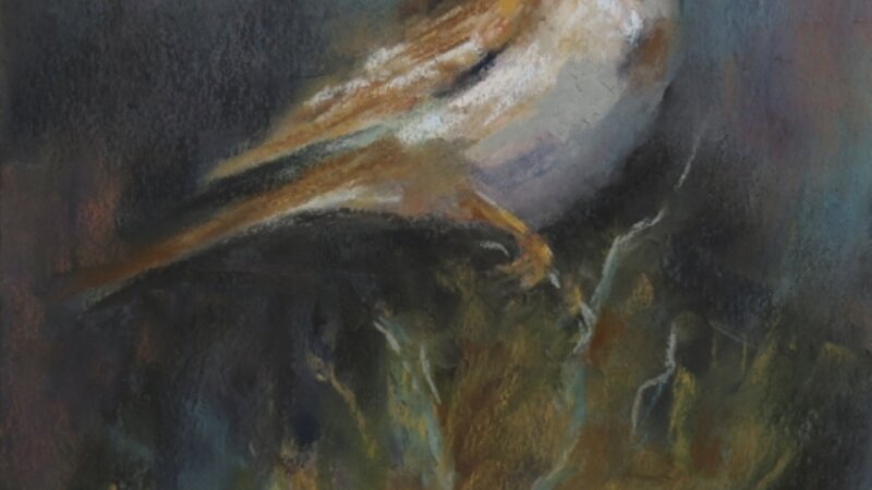 Twilight Serenade- Sage Sparrow Pastel Painting by Gail Watford 