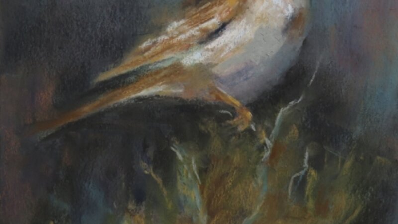 Twilight Serenade- Sage Sparrow Pastel Painting by Gail Watford 