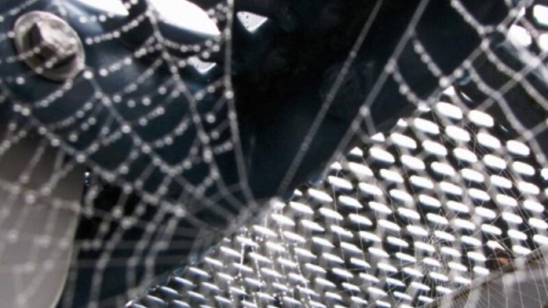 Under the Park Bench