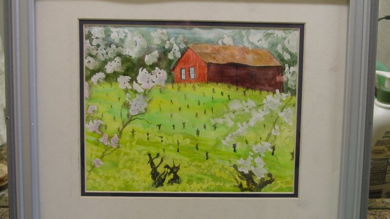 W. Dry Creek Vines & Mustard