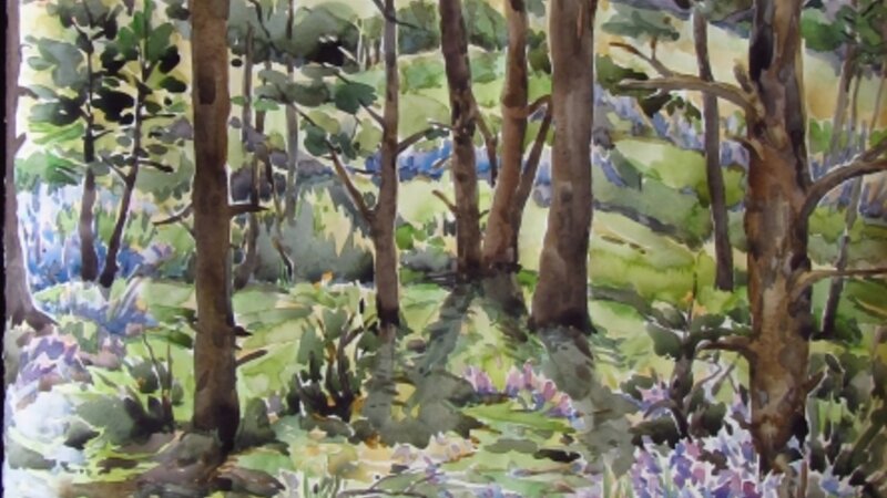 Kristen Muench Watercolor Bluebells near the Fairy Stump
