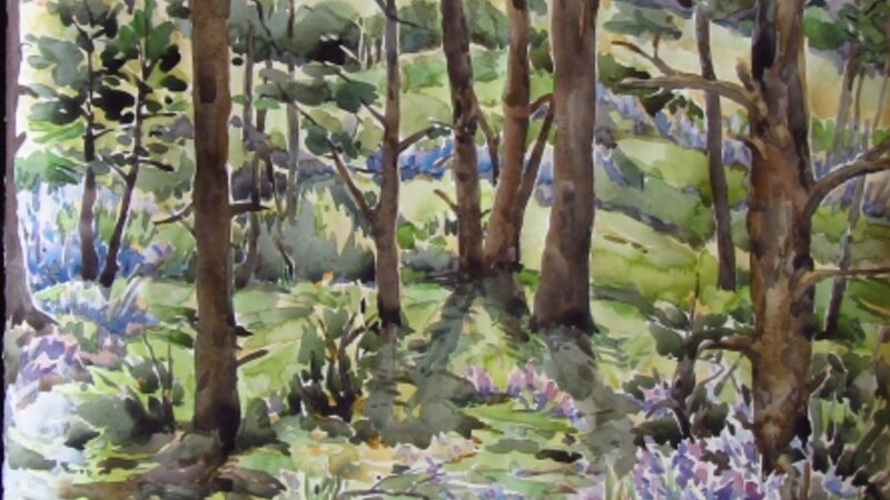 Kristen Muench Watercolor Bluebells near the Fairy Stump