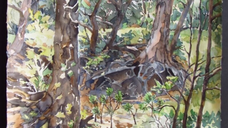 Kristen Muench "Root Place" 30x22 watercolor Pinery, CO 