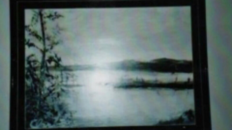 "WEEDLAND" AT "WINDOW WITHOUT WALLS GALLERY" 