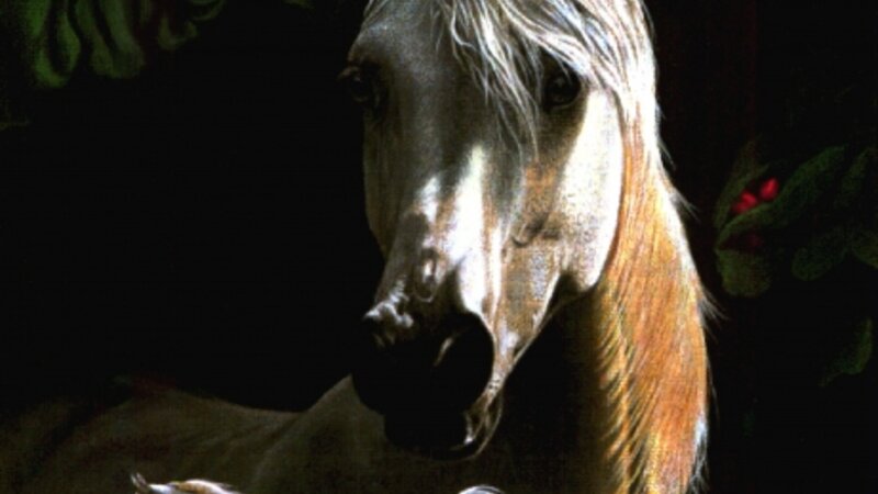 White Horse