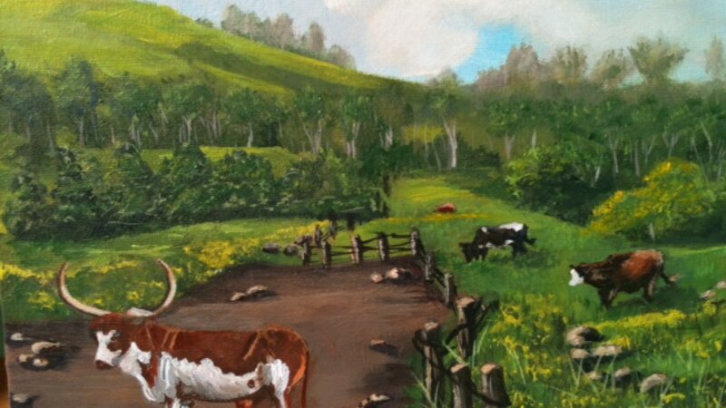 Waimea Pasture