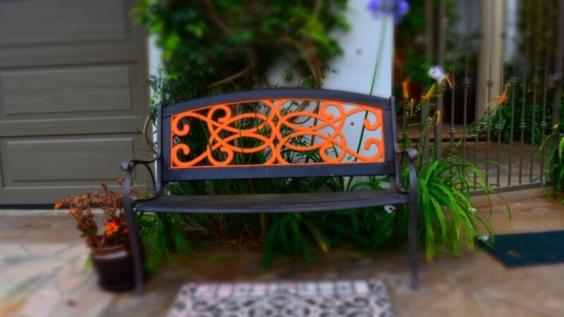Willie's Bench