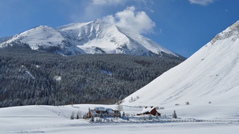 Winter Solitude
