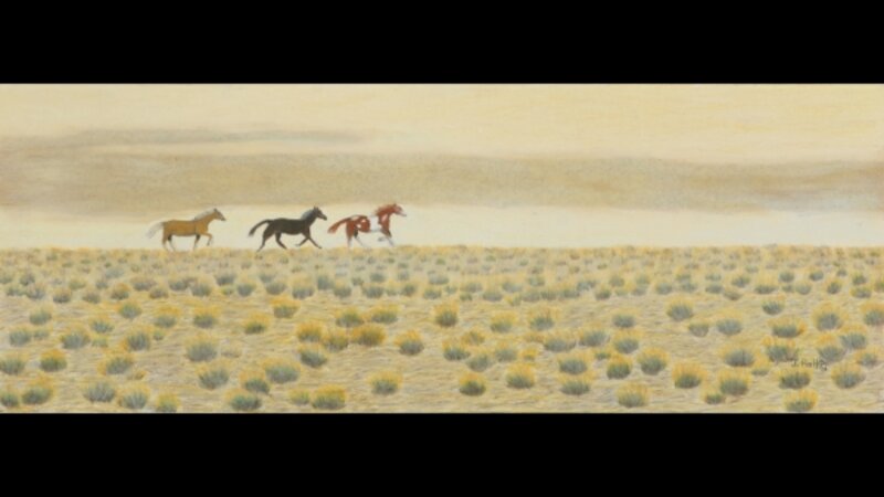 "Wild Country" - Wild Horses