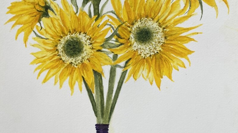Glorious Sunflowers