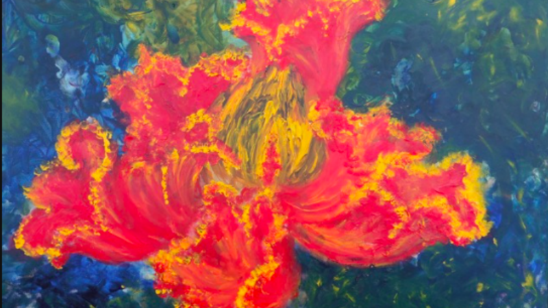 Dragon Flower  African Tulip 