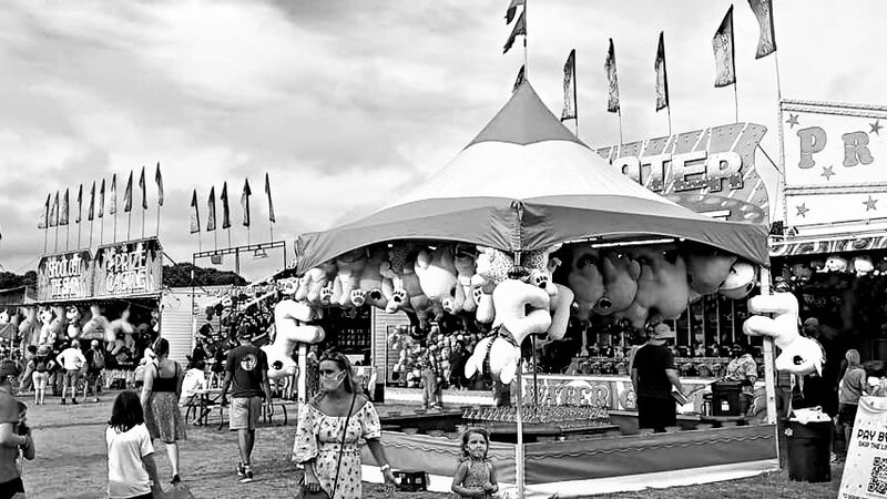 Life is a Ag Fair MV 2021