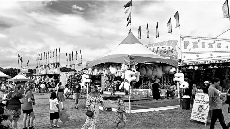 Life is a Ag Fair MV 2021