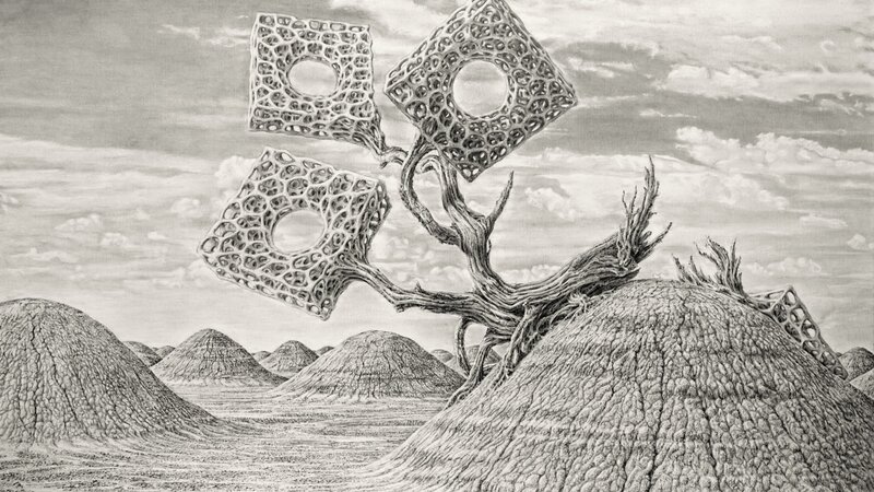 Surreal Evolution Series