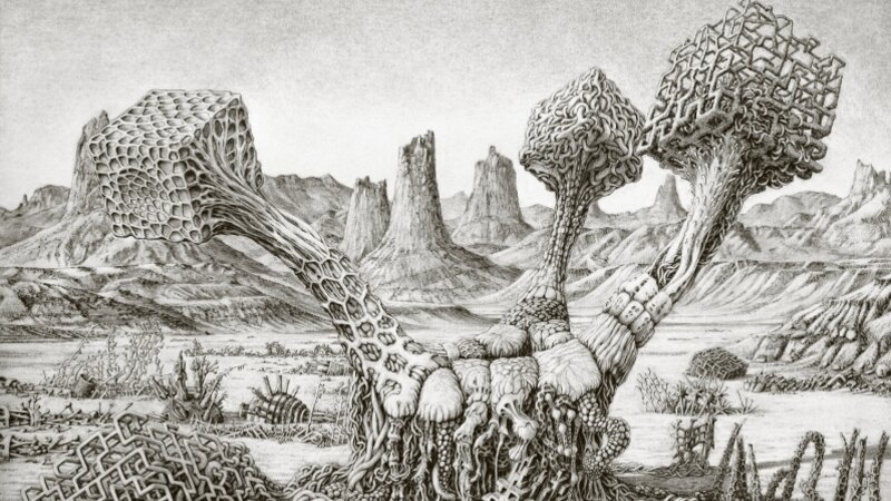 Robot 29: Plantimal 1