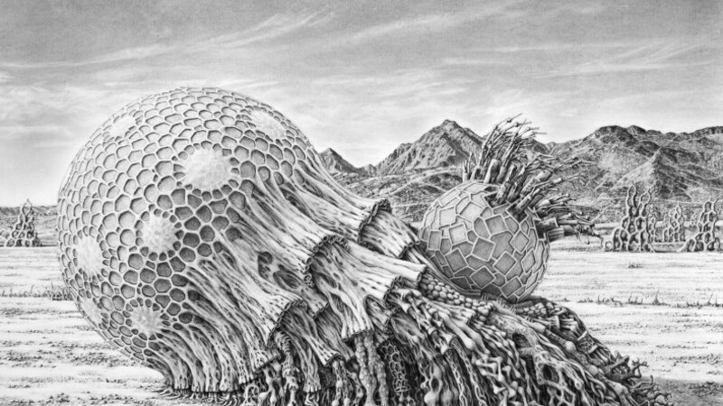 Robot 30: Plantimal 2: Andrew Lincoln Nelson