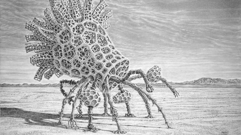 Alndrew Lincoln Nelson