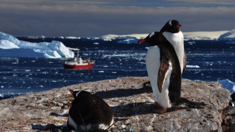 Antarctica