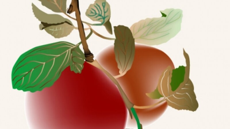 Apples