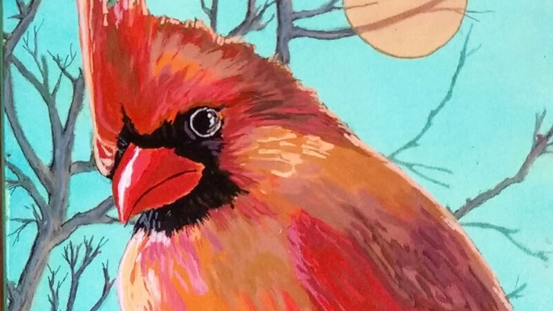 Cardinal (Female)