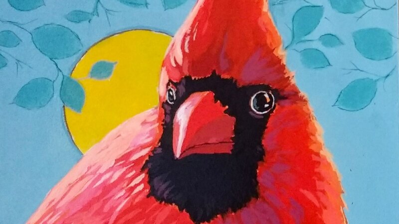 Cardinal (Male)