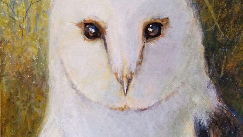 Jasper the Barn Owl