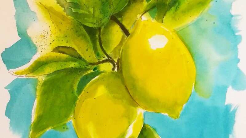 Lemon Tree