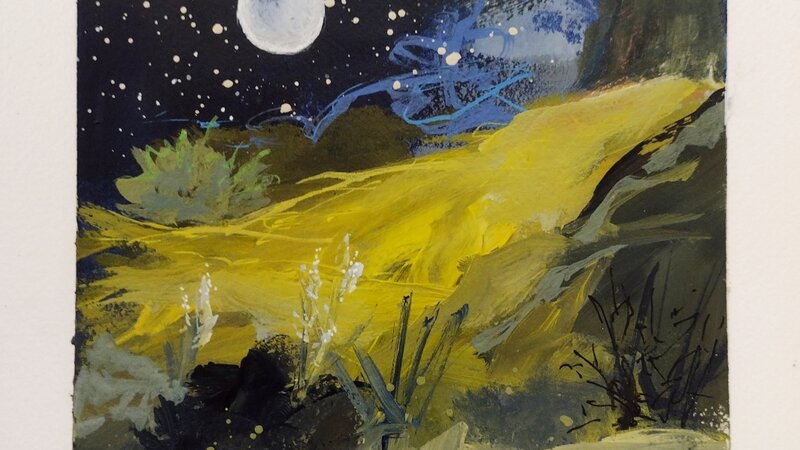 Night-High Desert 2021