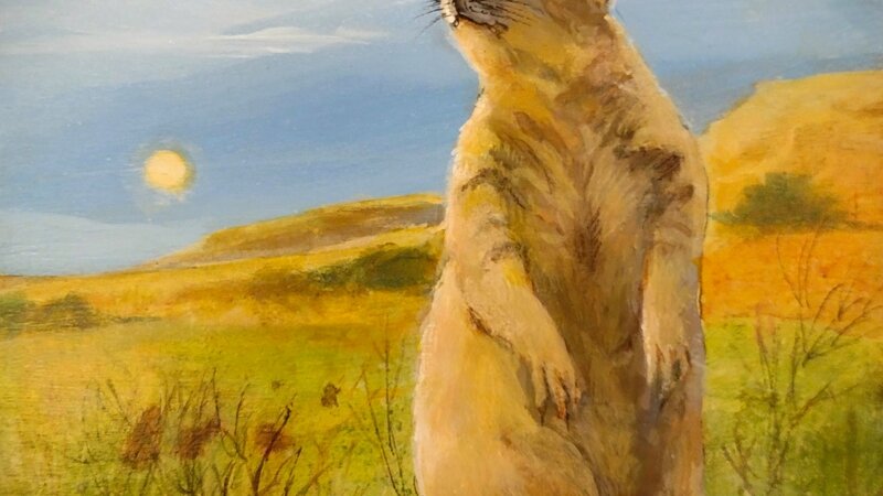 Prairie Dog 2022