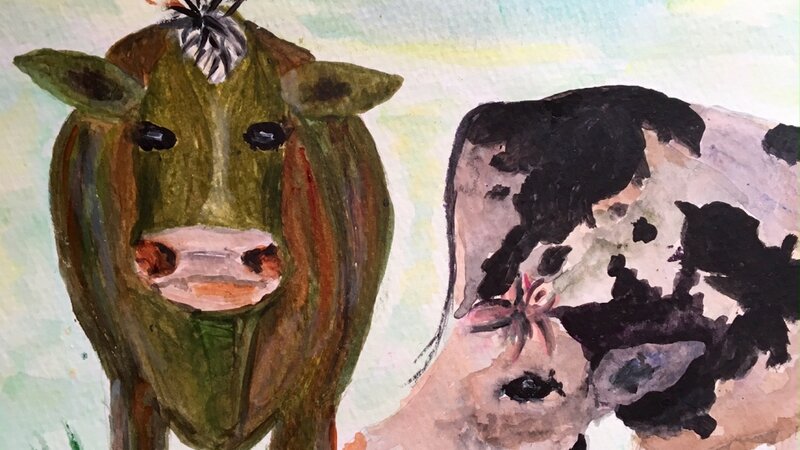 " Cows "