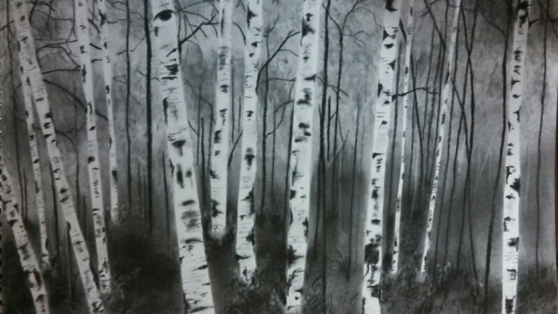 Red River Aspens