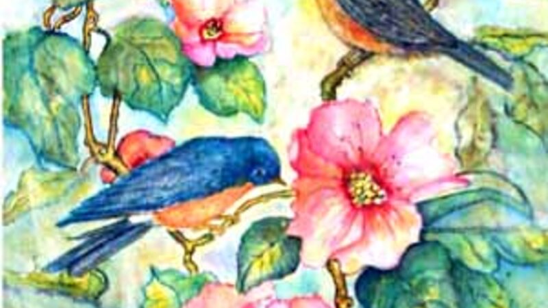Bluebirds