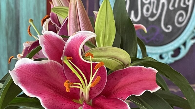 “Shhhh God is Working”