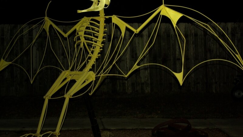 Bat
